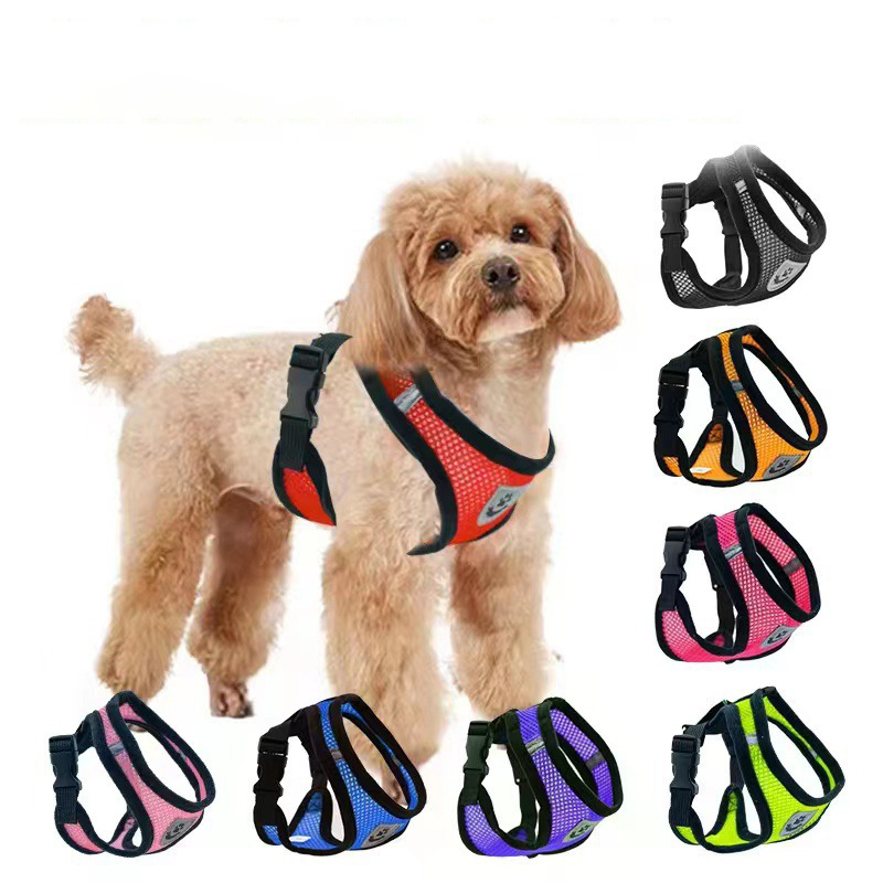 Hot summer small dog pet chest - Mini Trampoline Spring ulasan dan harga